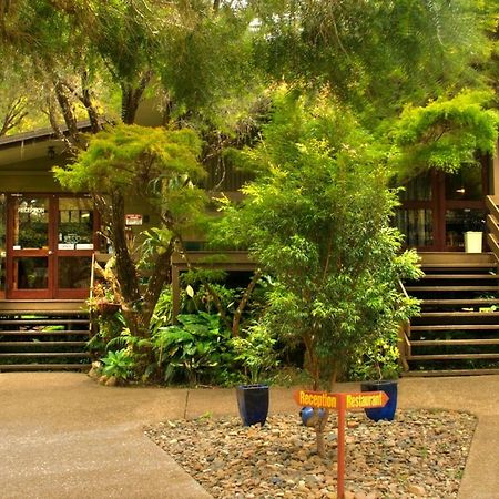 Broken River Mountain Resort Eungella Exterior foto