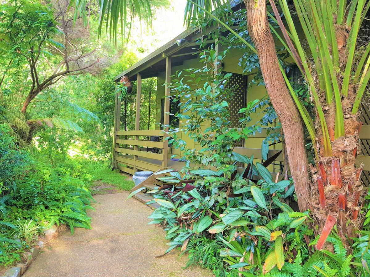 Broken River Mountain Resort Eungella Exterior foto